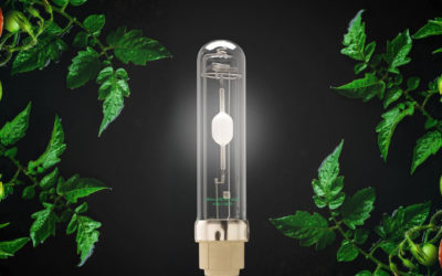 Introducing gGRO: The Future of Cannabis Grow Lighting