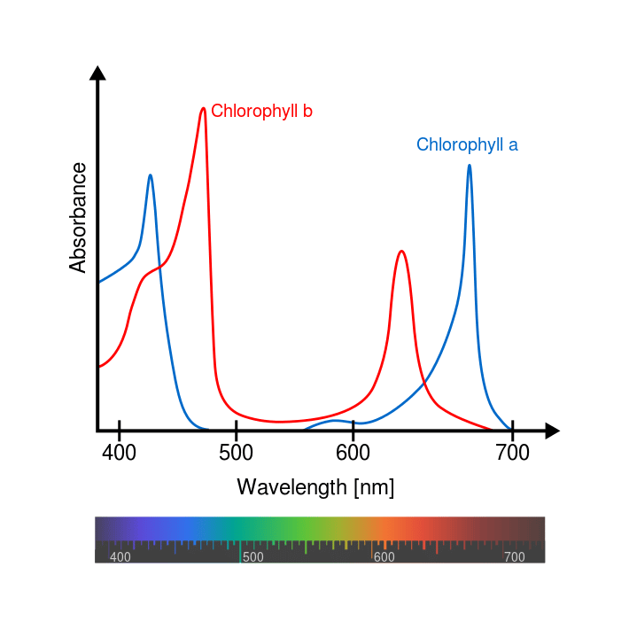 Peak Wavelengths for Chlorophyll A & B