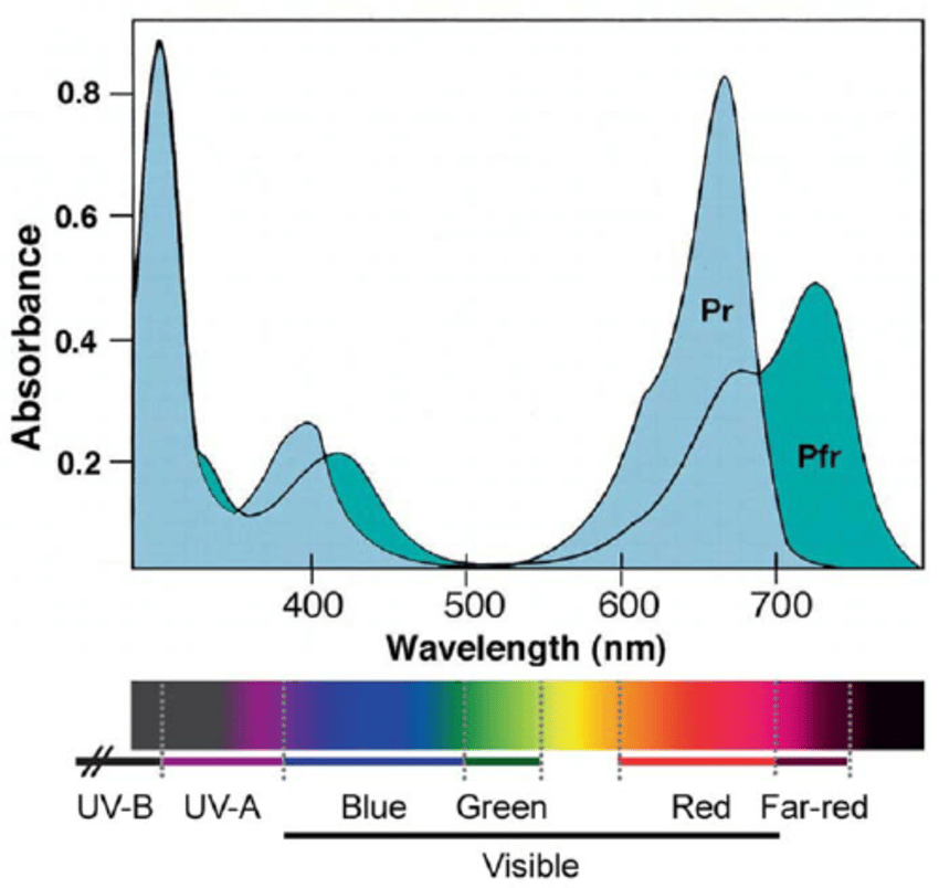 Wavelengths that Drive Photoperiod